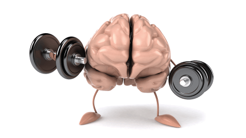 14 Conseils pour accélérer Vos Résultats dans votre séance d'Entraînement 23 10iboaforma - cerveau