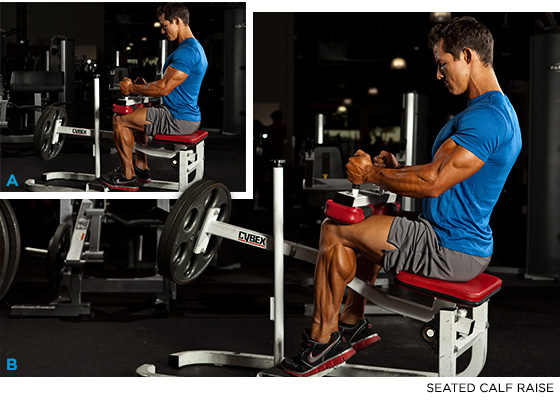 Comme vous Développer vos Muscles du Mollet 2 Les veaux assis
