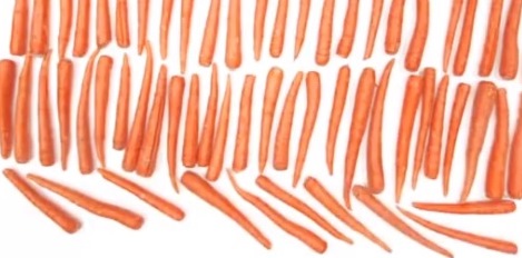 La vidéo Montre Qu'ils Sont 2000 Calories dans Divers Aliments 35 5pboaforma