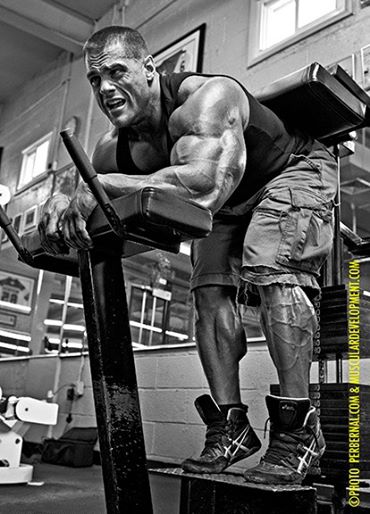Bodybuilder Evan Centopani l'Alimentation, de la Formation, des Mesures, des Photos et des Vidéos 27 601292_4282433854792_283469020_n