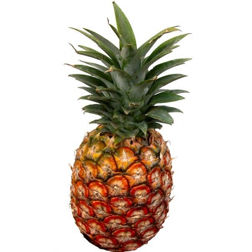 Les Calories dans l'Ananas - Types, Caractéristiques et des Conseils 2 ananas-hawaii