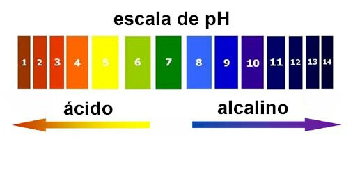 L'eau alcaline - ce que c'est, les Avantages de Régime, Comment le Préparer, et Où l'Acheter 1 l'eau alcaline-escalapH