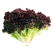 Les Calories de la Laitue - Types, Caractéristiques et des Conseils 4 vert violet