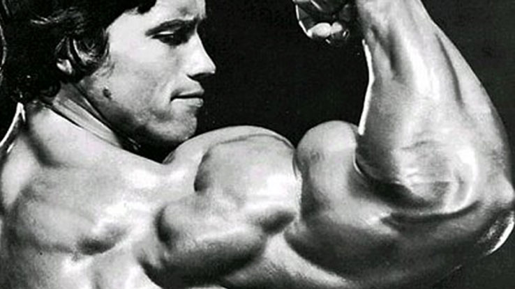 Arnold Schwarzenegger, l'Alimentation, l'Entraînement, les Mesures, les Photos et les Vidéos 7 niveau-1