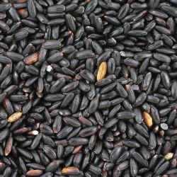 Calories dans Riz - Types, Caractéristiques et des Conseils 5 riz negro_13043_22076
