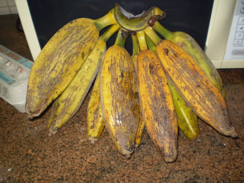Calories dans une Banane, Types, Caractéristiques et des Conseils 7 une banane d'une fig