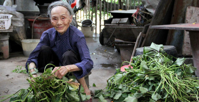 Le Secret de la façon de Vivre Plus de 100 Ans Peut-Être, dans Ce Village pour un Chinois 10 votresante.club votresante.club bapan