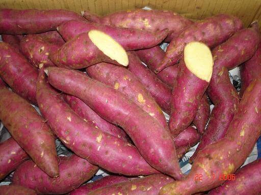 patates douces-x