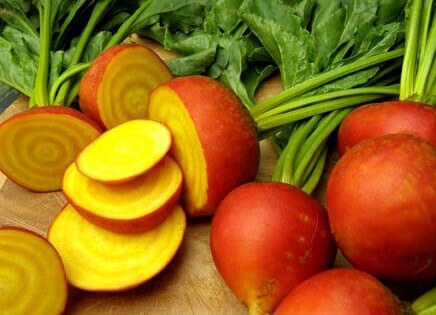 Des Calories à partir de la Betterave à sucre Types, Caractéristiques et des Conseils 4 beet_gold_reproducao_reneesgarden3