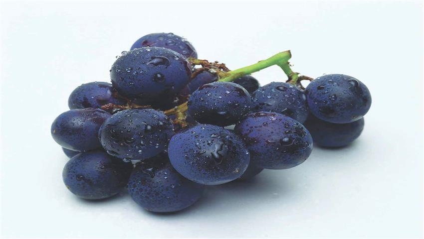 10 Avantages des Anthocyanes et des Aliments Riches en 1 BG_grapes