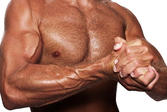Isométrique du Muscle - Ce que c'est, à Quoi il sert, des Avantages et de la Formation 18 votresante.club votresante.club biceps isometrico e1427718276493