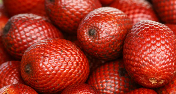 Le 9-Fruits Exotiques au Brésil et de ses Avantages 1 votresante.club votresante.club buriti 1