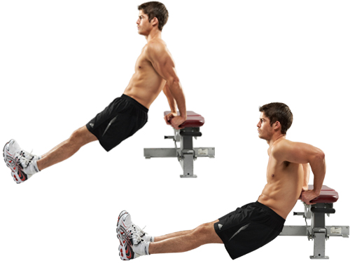 La formation des Triceps Banc des Conseils, et des Variations de 7 c8d3de779298c36b870f354987cecaf9