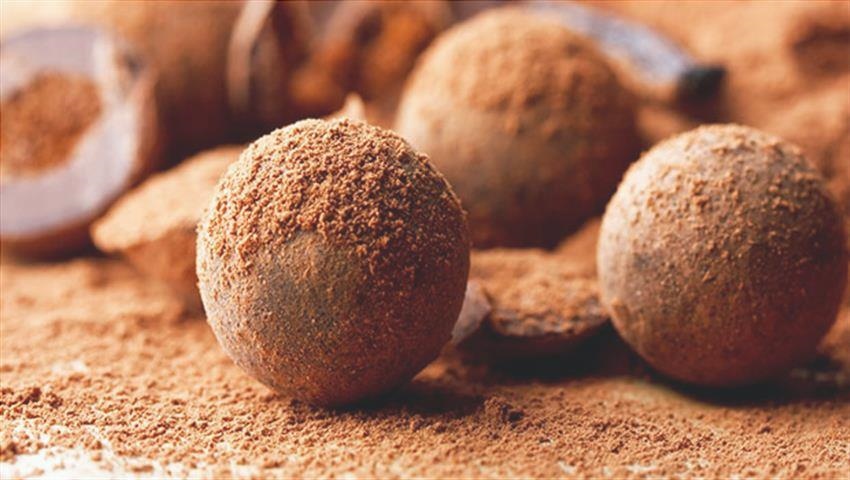 10 Recettes de Chocolat Dukan 2 votresante.club votresante.club chocolate dukan