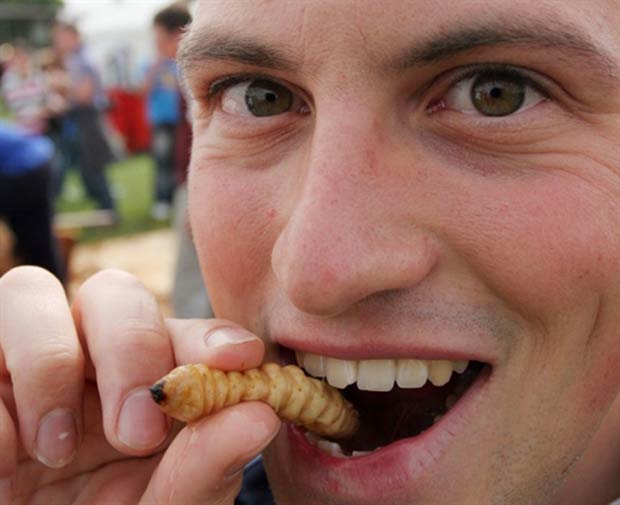 7 Aliments Exotiques Que vous Pouvez Faire pour Votre Santé 4 En mangeant de la chenille