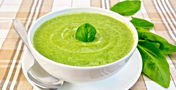 6 Recettes de la Crème d'Épinards et un peu de 6 votresante.club votresante.club creme de espinafre light
