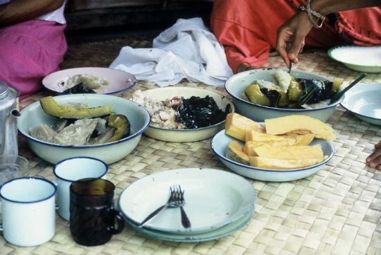 Apprendre à connaître l'Île est un Paradis Où personne N'A de l'Acné en Raison de l'Alimentation 9 Le régime alimentaire de Kitava