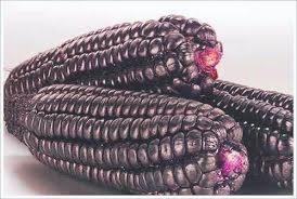 Comment faire pour réinitialiser la Flore Intestinale des Aliments, des Suppléments et des Conseils sur 4 télécharger