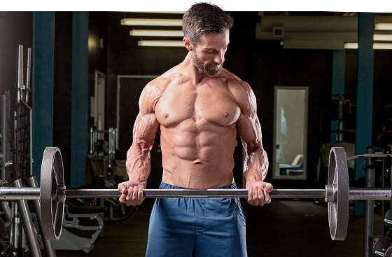 La prise de BCAA Avant ou Après l'Entraînement? 1 les effets de la l-carnitine-l-tartrate_02