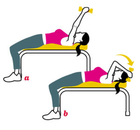 La formation des Triceps Banc des Conseils, et des Variations de 2 l'extension