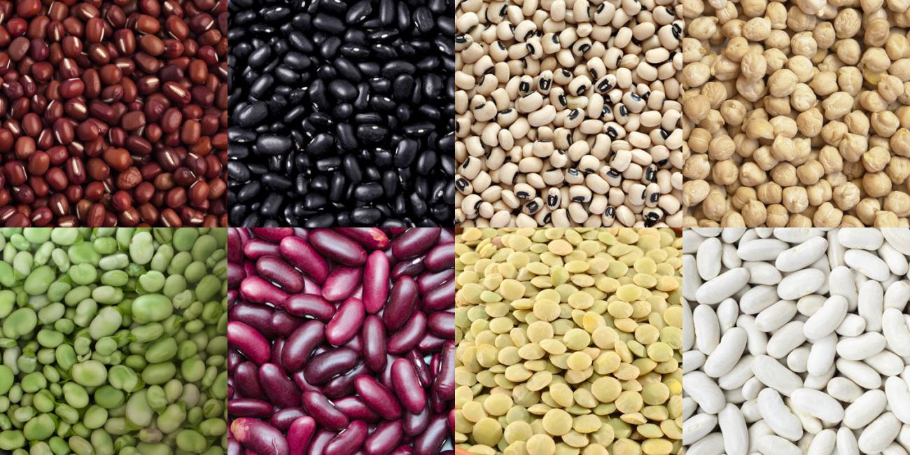 nouilles aux haricots