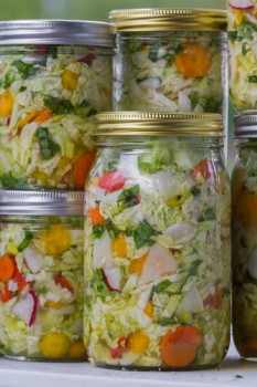 Comment faire pour réinitialiser la Flore Intestinale des Aliments, des Suppléments et des Conseils sur 2 fermentés légumes