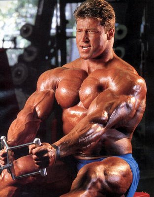 Bodybuilder Gunter Schlierkamp - Alimentation, de la Formation, des Mesures, des Photos et des Vidéos 5 gunter schlierkamp (79).0