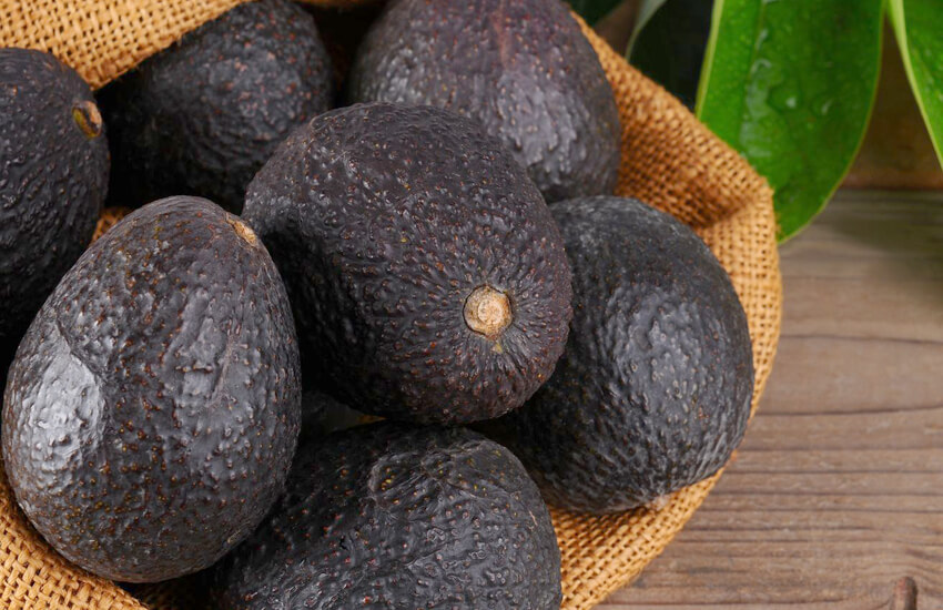 Les Calories dans l'Avocat - Types, Caractéristiques et des Conseils 3 les citoyens
