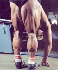 Bodybuilder Tom Platz (Alimentation, de la Formation, des Mesures, des Photos et des Vidéos 9 les images (1) (d