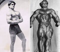 Bodybuilder Tom Platz (Alimentation, de la Formation, des Mesures, des Photos et des Vidéos 8 imagesd