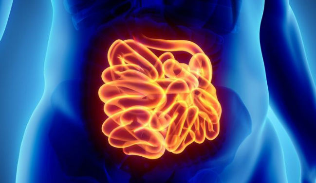 Inflammation De L'organe Essentiel De La Phonation