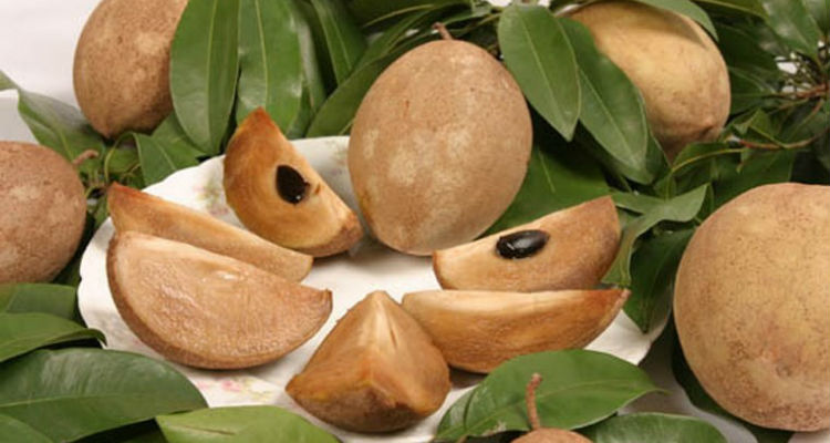 14 Avantages du fruit de l'Genipapo arbre - Ce que c'est et les Propriétés de 1 votresante.club votresante.club jenipapo
