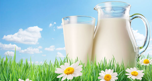 Le lait est un Idéal et un Régime alimentaire Faible en glucides (Moins de Glucides) - des Conseils et des Recettes 12 votresante.club votresante.club leite low carb coco