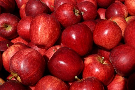 Calories dans Pommes - Types, les Pièces et les Conseils et les Recettes de 4 et mahah, l, argentine