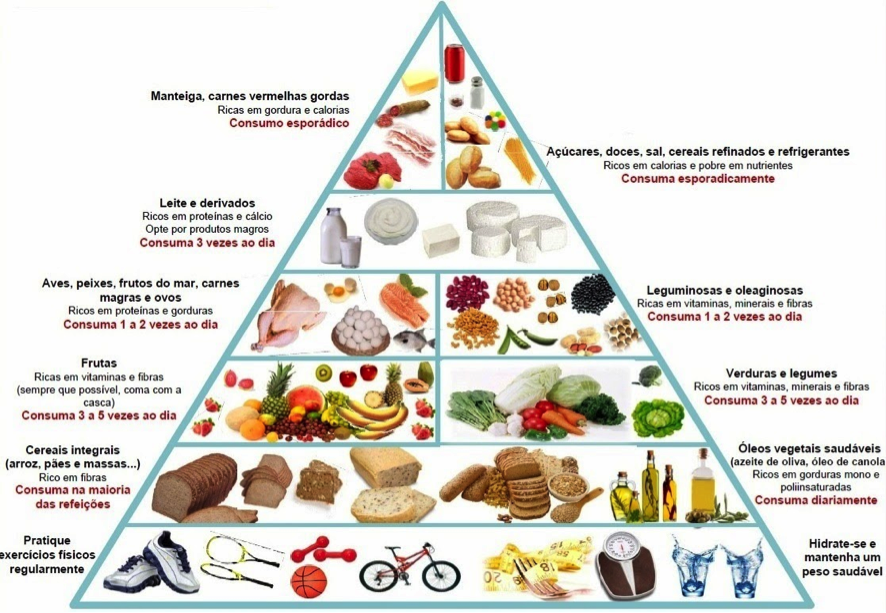 Découvrez la Nouvelle Pyramide Alimentaire 1 le nouveau terrain