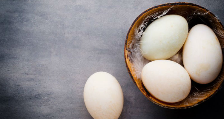 Les Calories des Œufs à la coque, sur le plat, Brouillés, des wapitis, des Cailles, et Plus 4 l'oeuf de canard