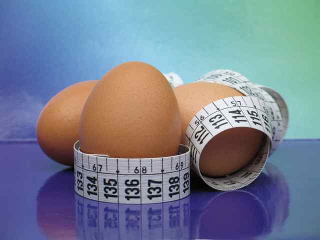 Les Calories des Œufs à la coque, sur le plat, Brouillés, des wapitis, des Cailles, et Plus 1 de l'oeuf à perdre du poids
