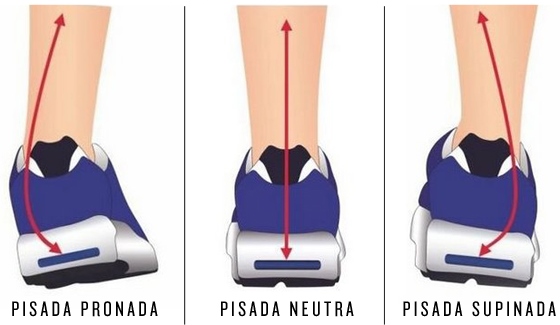 Les différences Entre l'Étape en Pronation, Neutre, et chin-up 10 les étapes de la synthèse