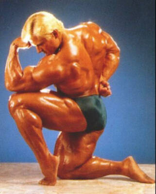 Bodybuilder Tom Platz (Alimentation, de la Formation, des Mesures, des Photos et des Vidéos 6 platz12