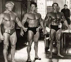 Bodybuilder Reg Parc de l'Alimentation, de la Formation, des Mesures, des Photos et des Vidéos 6 regpark