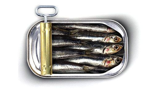Pour les Sardines, ils Sont en fait une Source de Protéines qui est Parfait 12 votresante.club votresante.club sardinhas 2