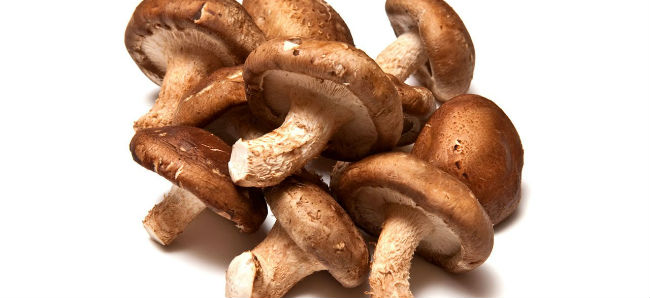 Les 8 Types de Champignons Comestibles - les Avantages et les Conseils 1 votresante.club votresante.club shiitake