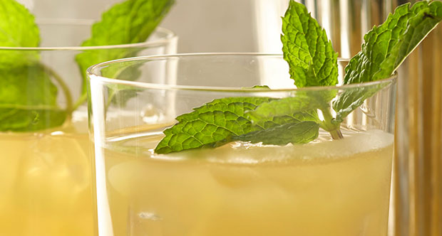 Le jus de Citron, thé à la Menthe et vous fait perdre du poids? 5 Recettes et Astuces 12 votresante.club votresante.club suco de abacaxi com hortela