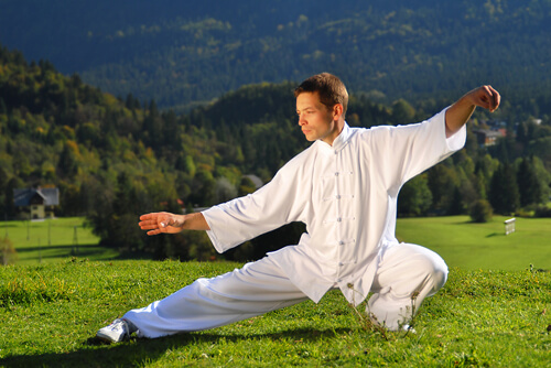 Tai Chi Chuan - Méditation en Mouvement 6 le tai chi chuan est l'art martial.