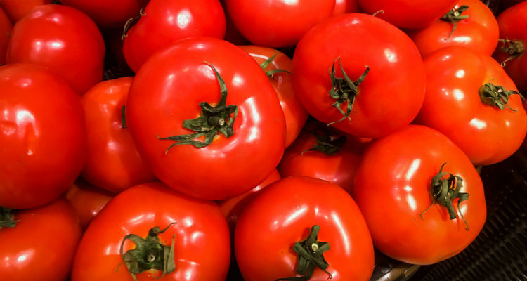 8 Fruits de cette Étonnante Aider à se débarrasser du Ventre 2 Tomates