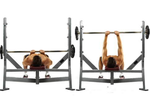 La formation des Triceps Banc des Conseils, et des Variations de 8 Les triceps en supination