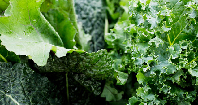 Les 6 Aliments les Plus Denses en Nutriments, il Devrait Être dans votre Régime alimentaire 18 Légumes